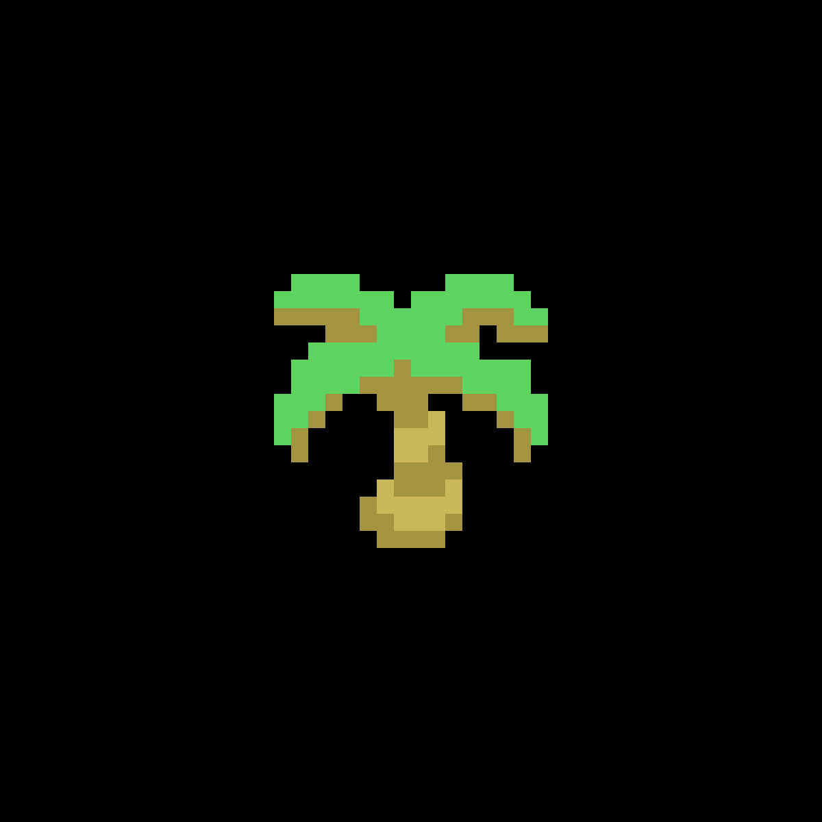 Desert Vibe